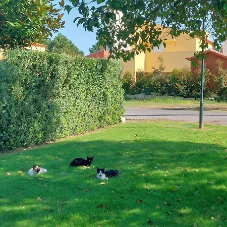 Be Local - In Mira With Pool Access * Mira (Coimbra)